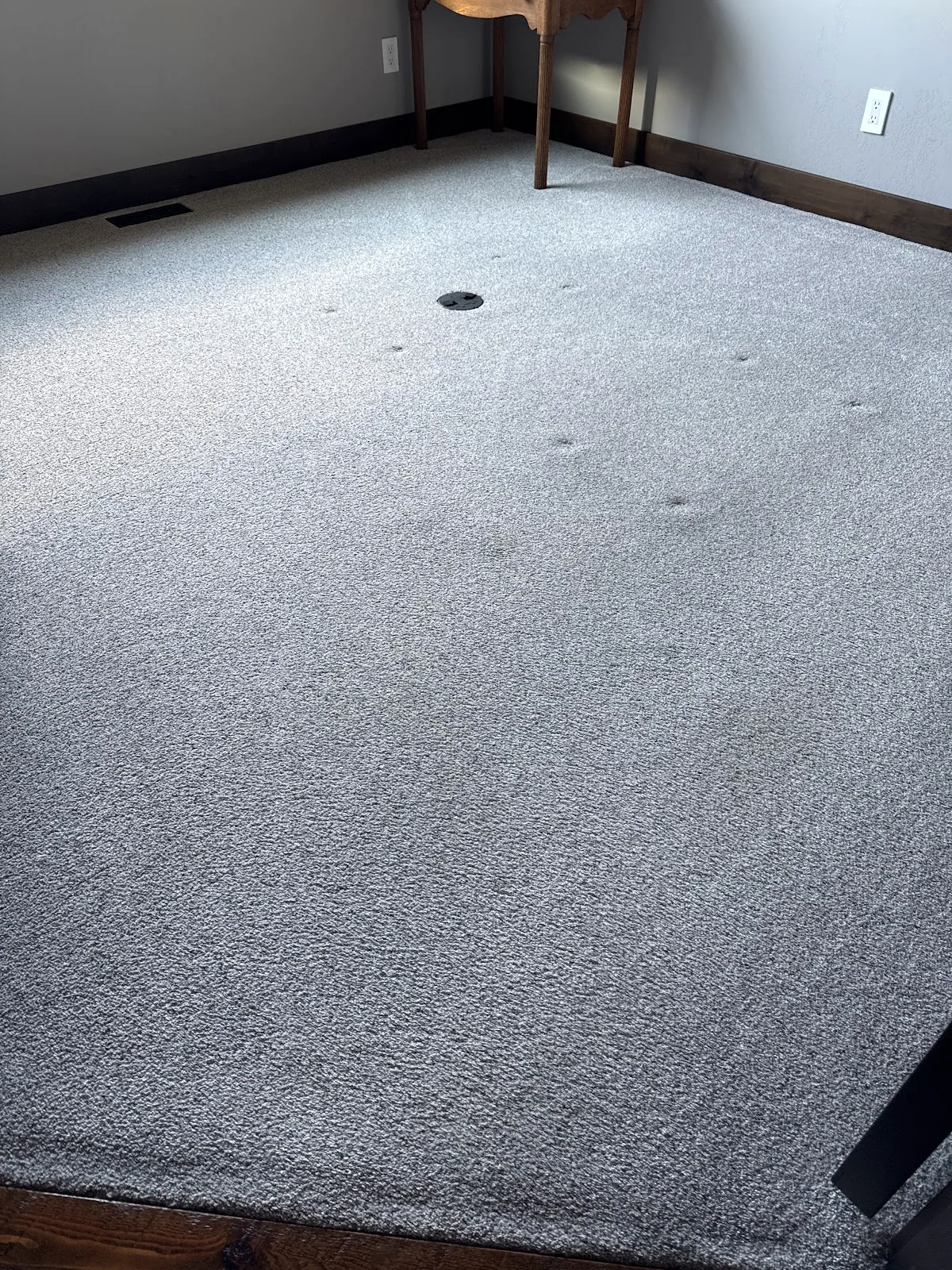Cleaned gray carpet in a Livingston home