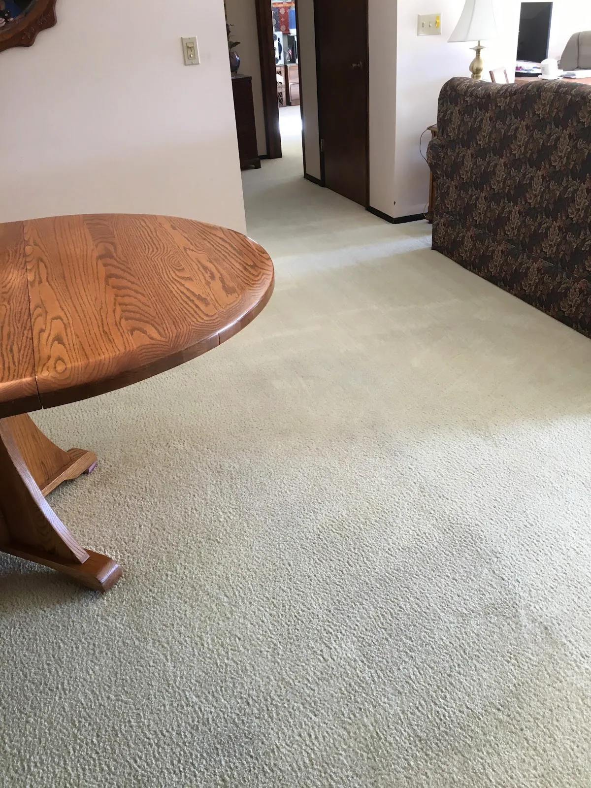 Freshly cleaned beige carpet with oak furniture