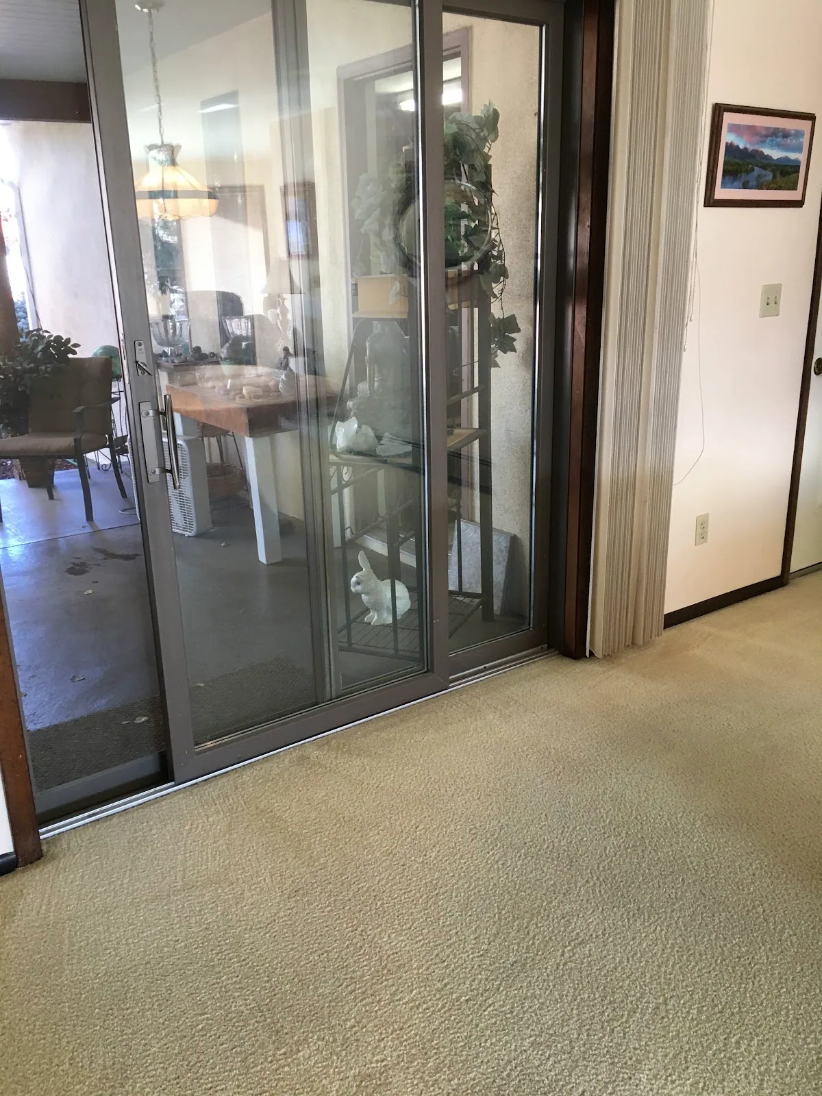 Cleaned tan carpet beside a sliding patio door