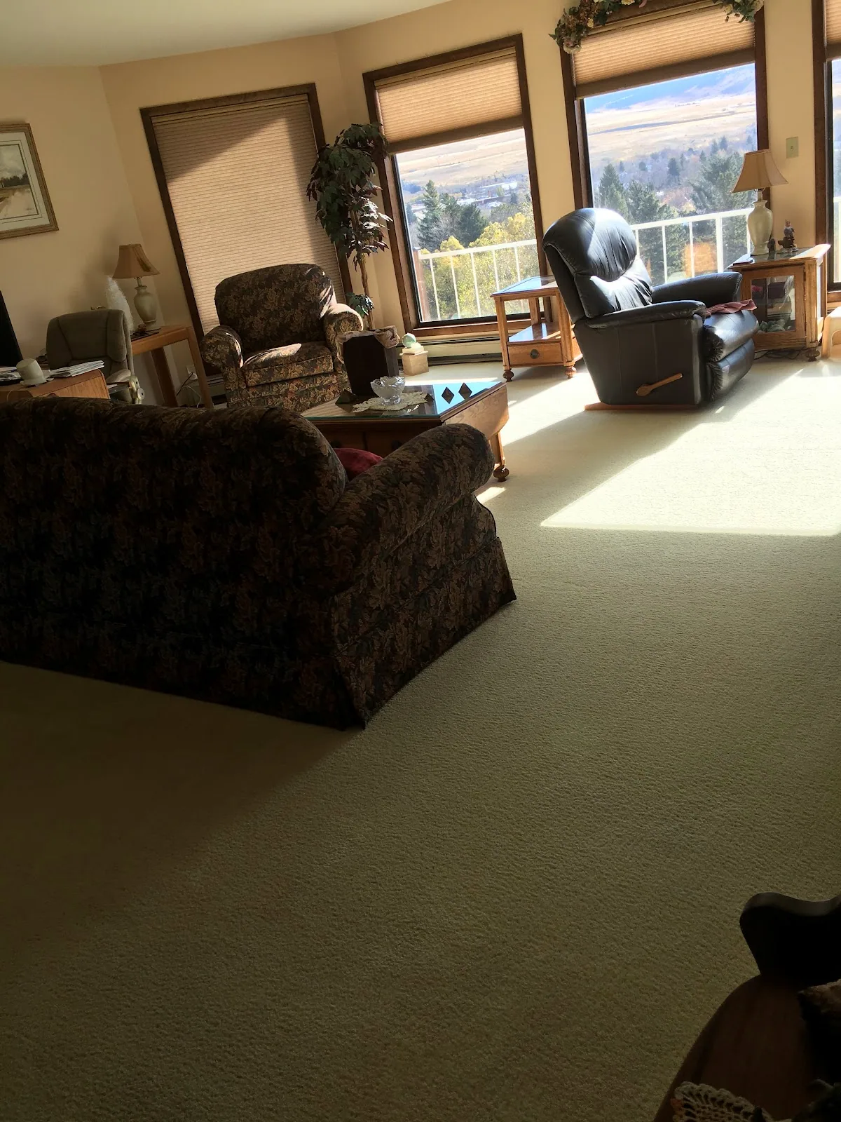 Cleaned cream carpet in a living room with a Montana mountain view