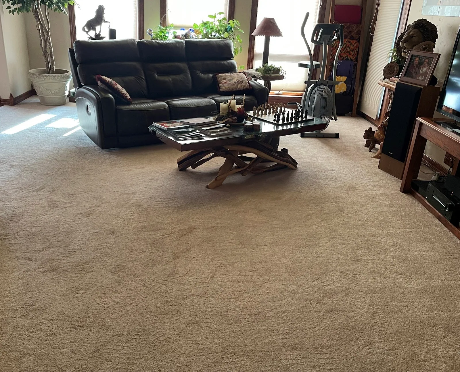 Freshly cleaned wall to wall carpet in a large Montana living room